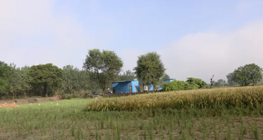 आश्रम के खेत और परिसर